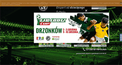 Desktop Screenshot of akademiafalubaz.pl